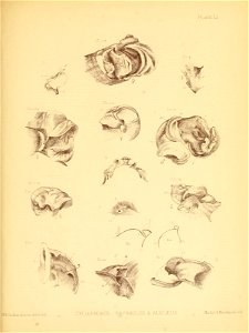 n208_w1150