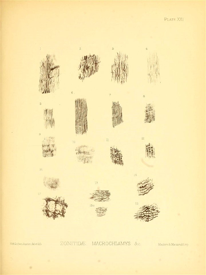 n88_w1150