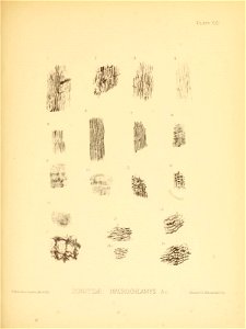 n88_w1150
