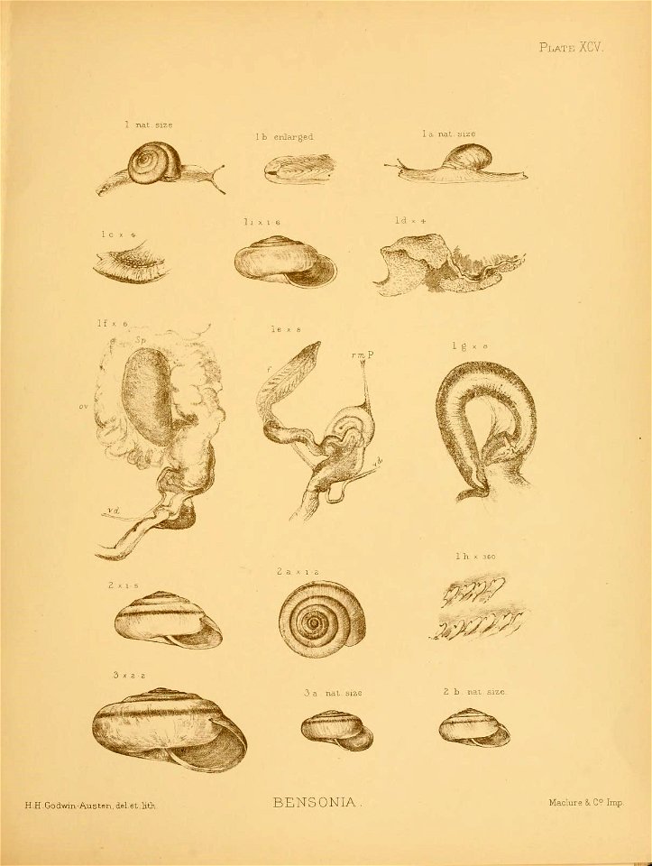 n156_w1150