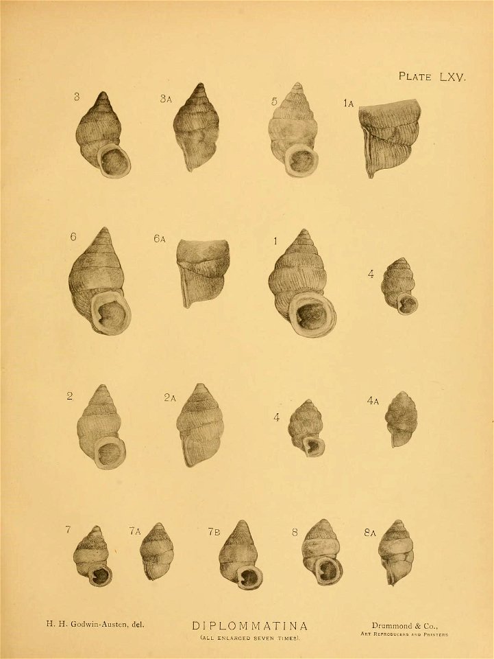n36_w1150