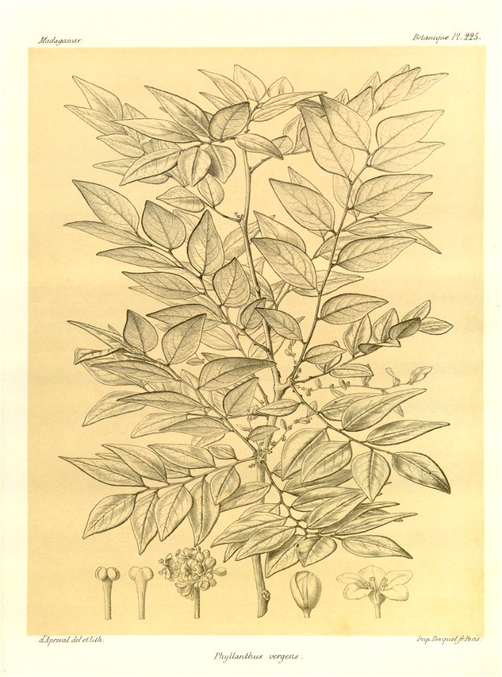 n96_w1150