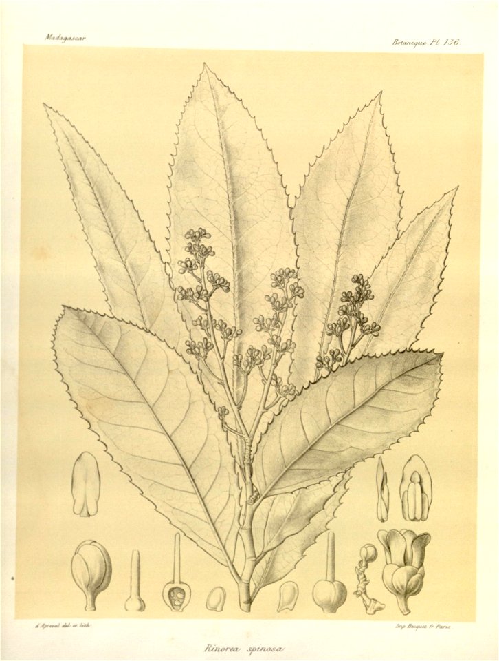 n6_w1150