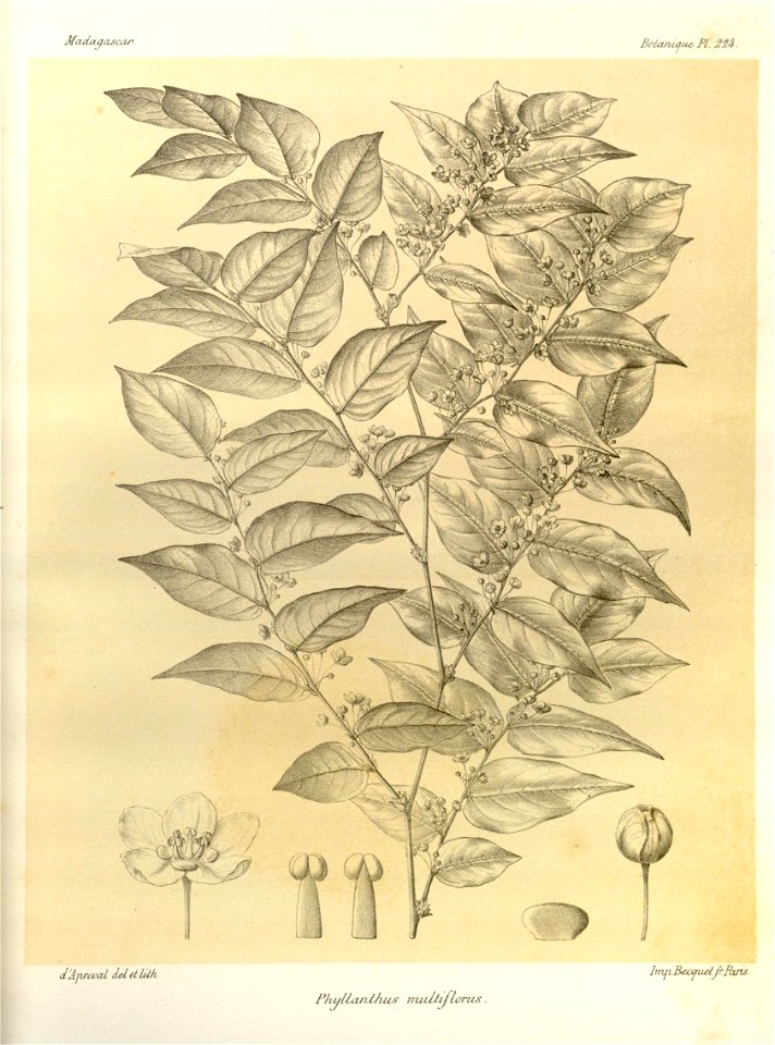 n95_w1150