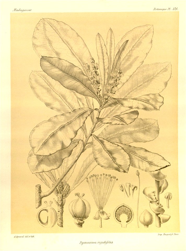 n49_w1150