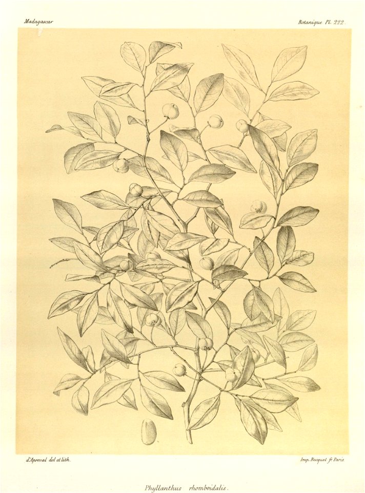 n93_w1150