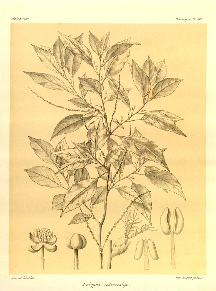 n63_w1150