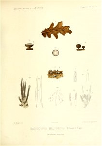 n190_w1150