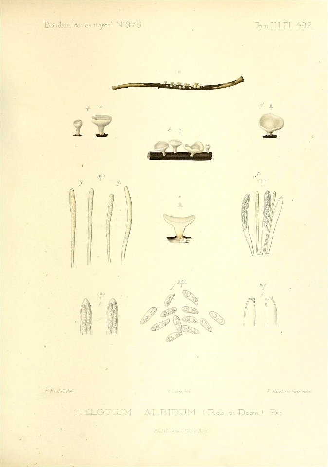 n160_w1150