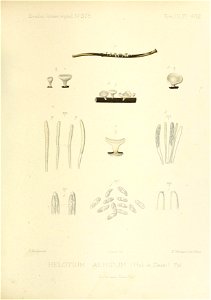 n160_w1150