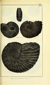 n464_w1150