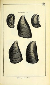 n428_w1150