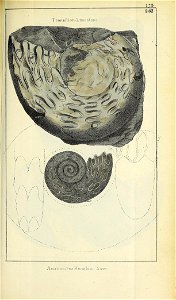 n394_w1150