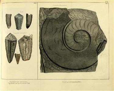 n392_w1150