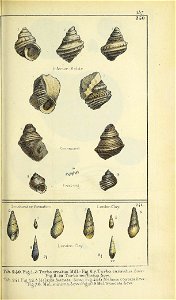 n354_w1150