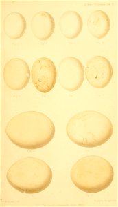 n276_w1150
