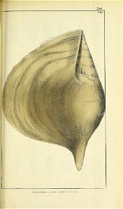 n456_w1150