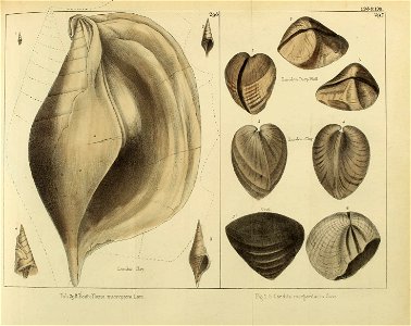 n452_w1150
