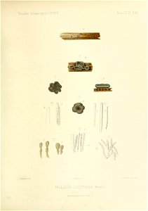 n262_w1150