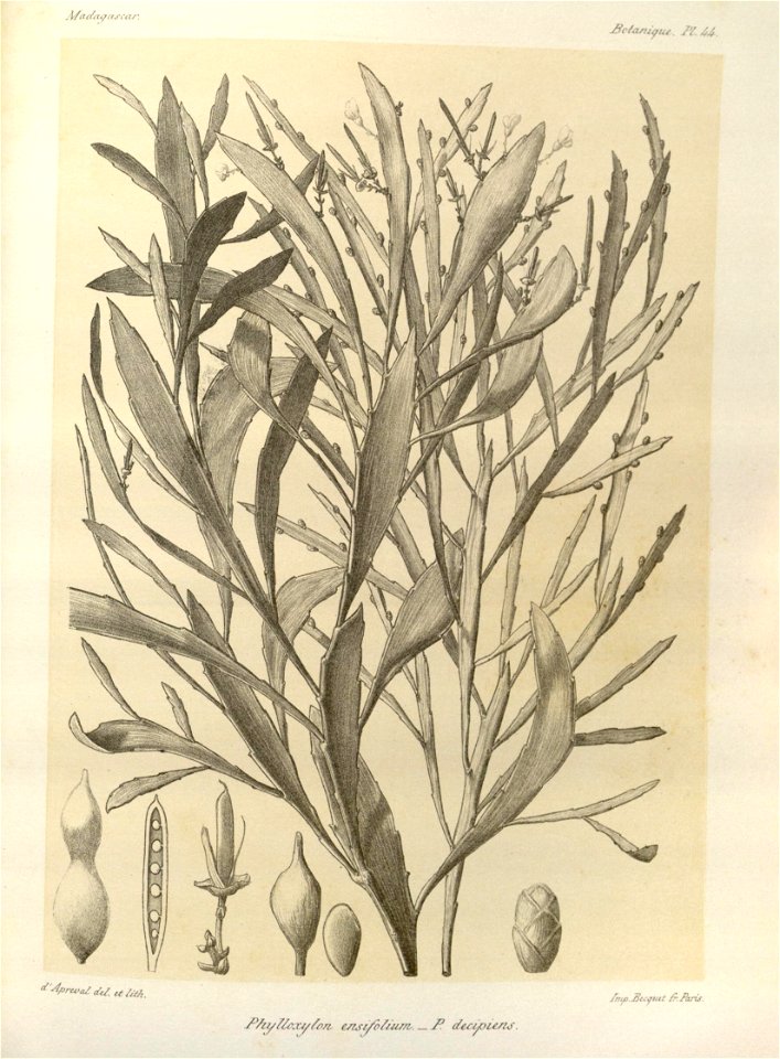 n53_w1150