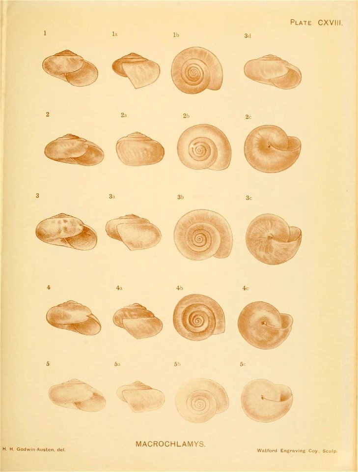 n248_w1150