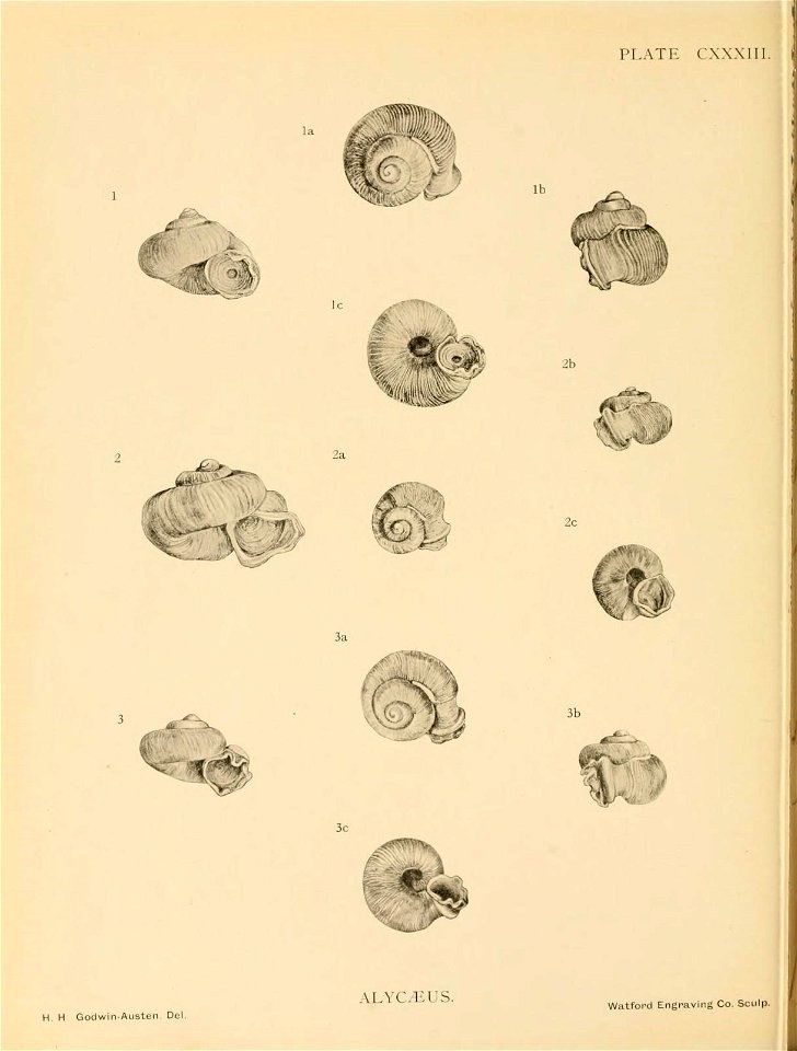 n307_w1150