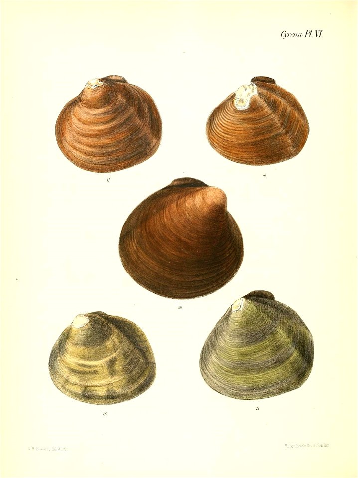 n493_w1150