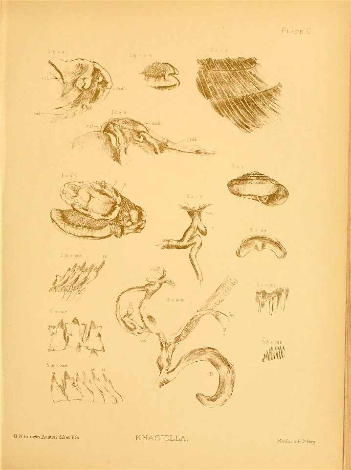 n176_w1150