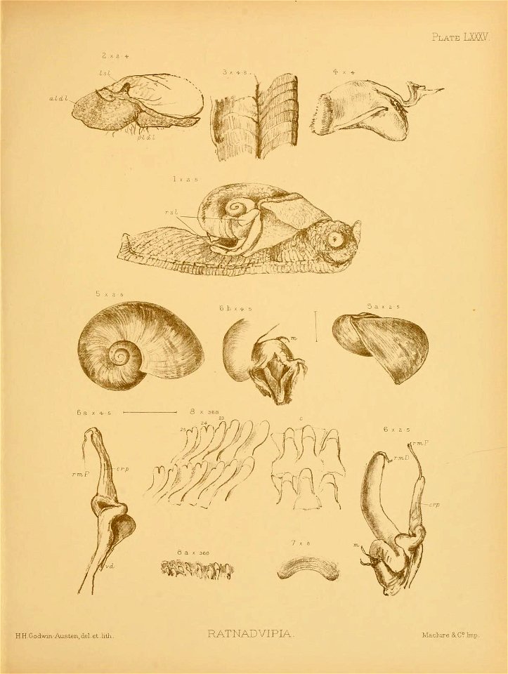 n116_w1150