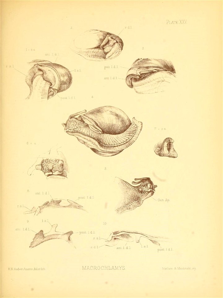 n104_w1150