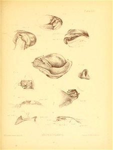 n104_w1150