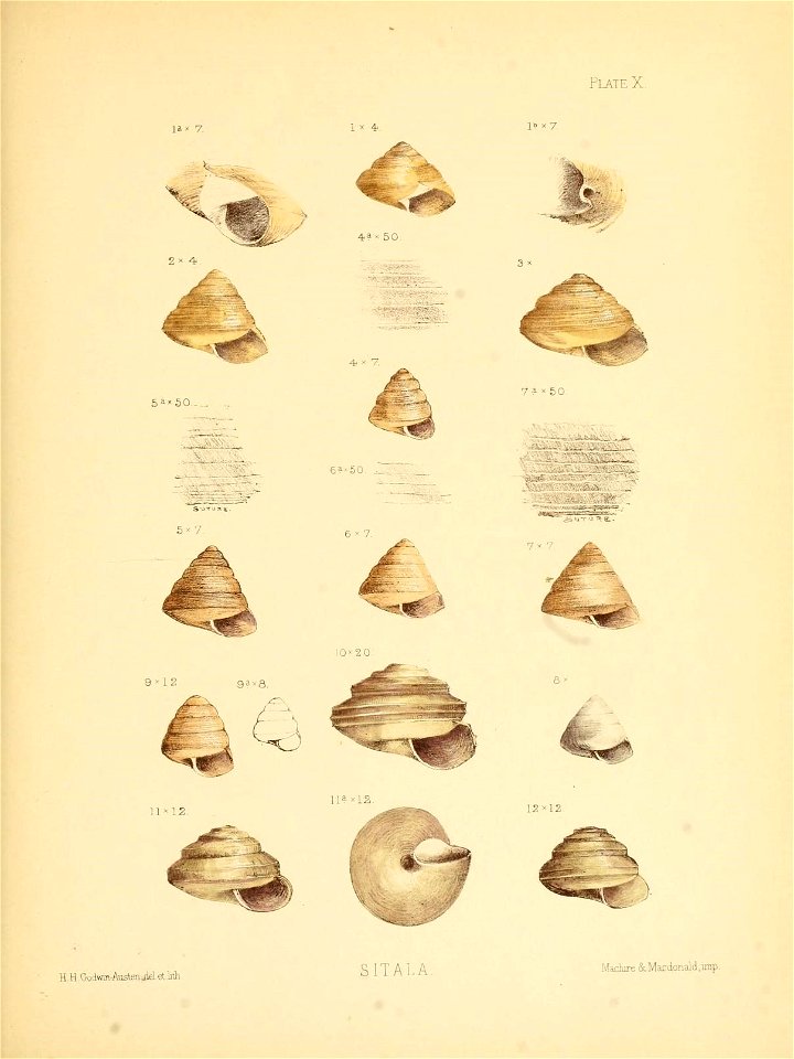 n44_w1150