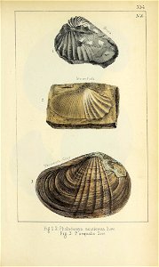 n774_w1150