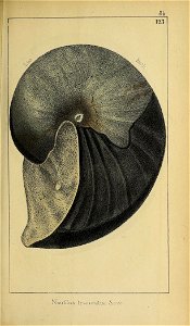 n182_w1150