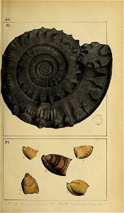 n148_w1150