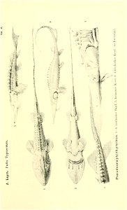 n58_w1150