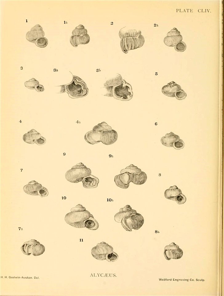 n389_w1150