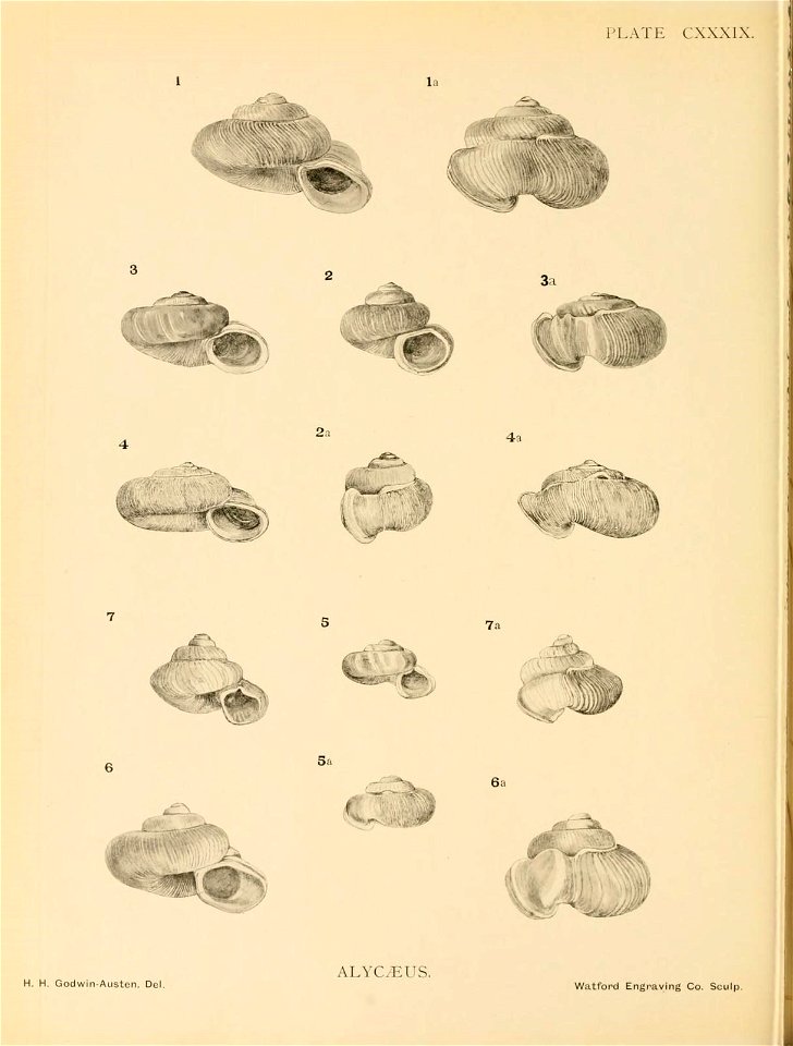 n331_w1150
