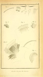 n674_w1150