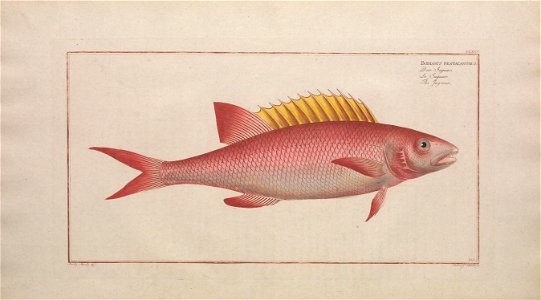 n63_w1150