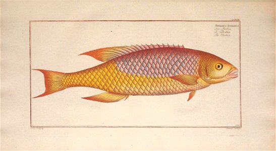 n54_w1150