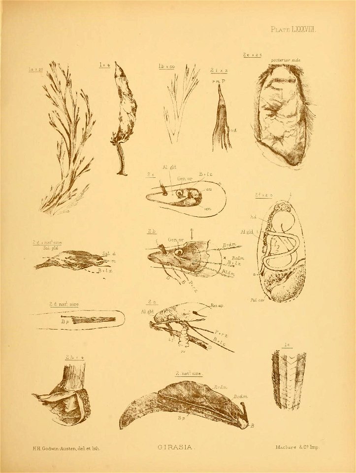 n128_w1150