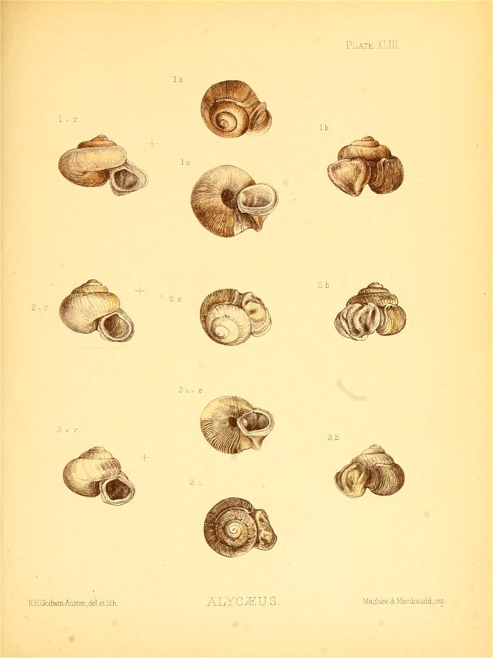 n176_w1150