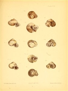 n176_w1150