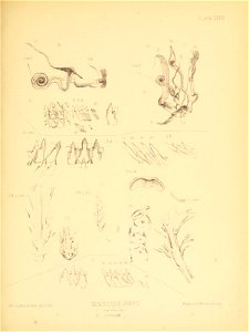 n116_w1150
