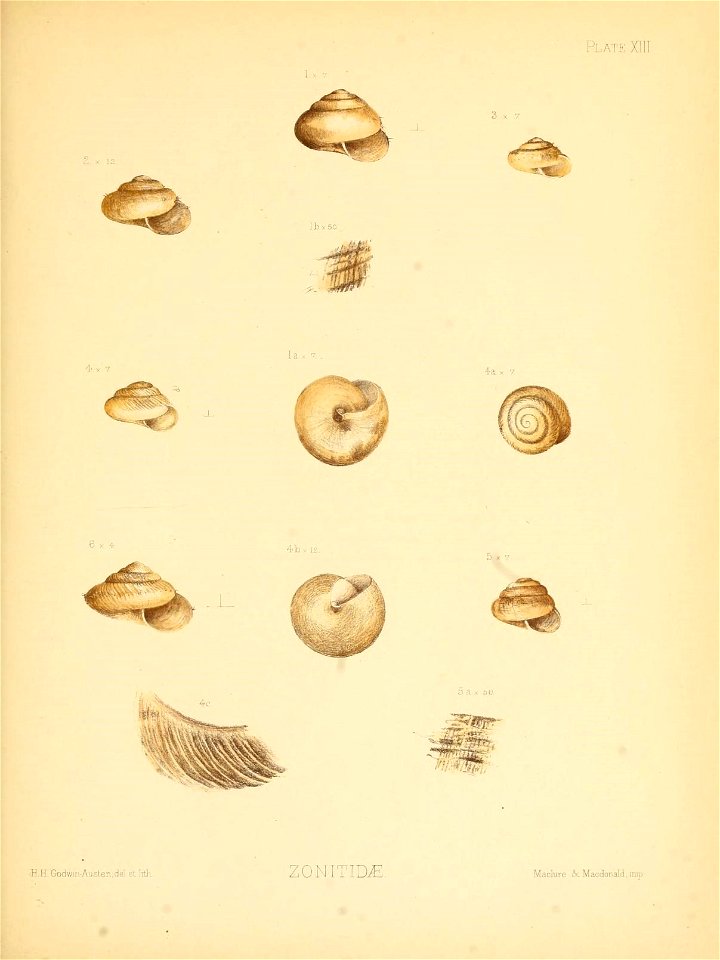 n56_w1150