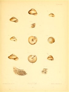 n56_w1150