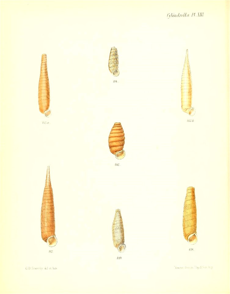 n157_w1150