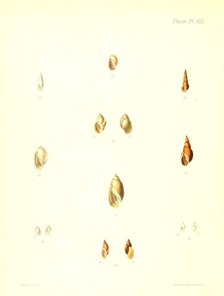 n617_w1150