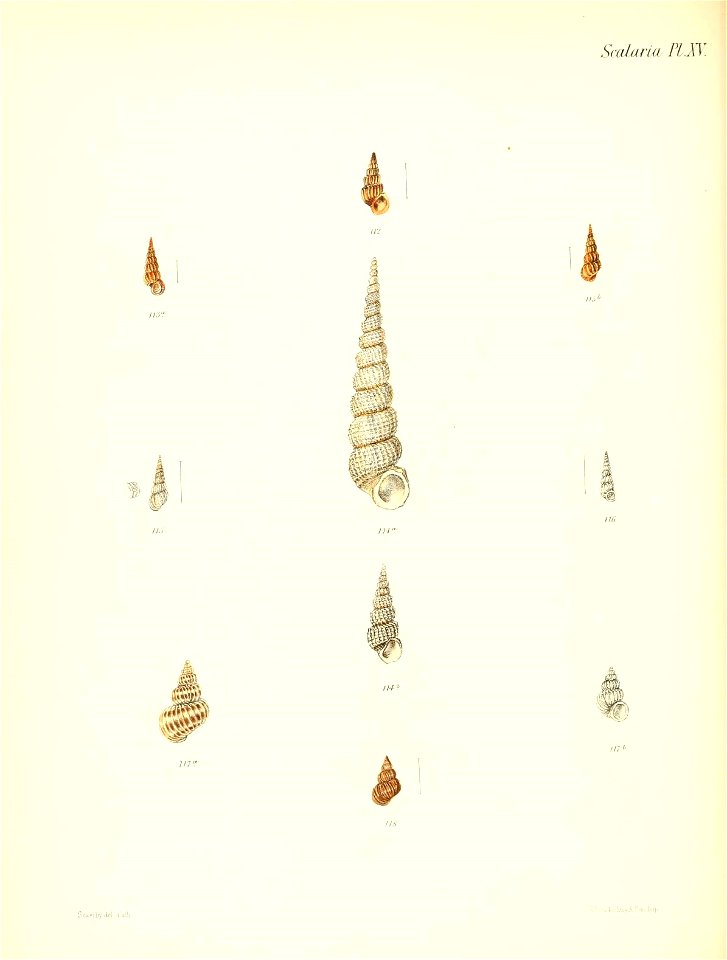 n235_w1150